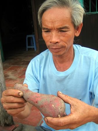 Khoailangbisau
