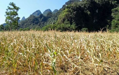 2014_06_30_caybapheola
