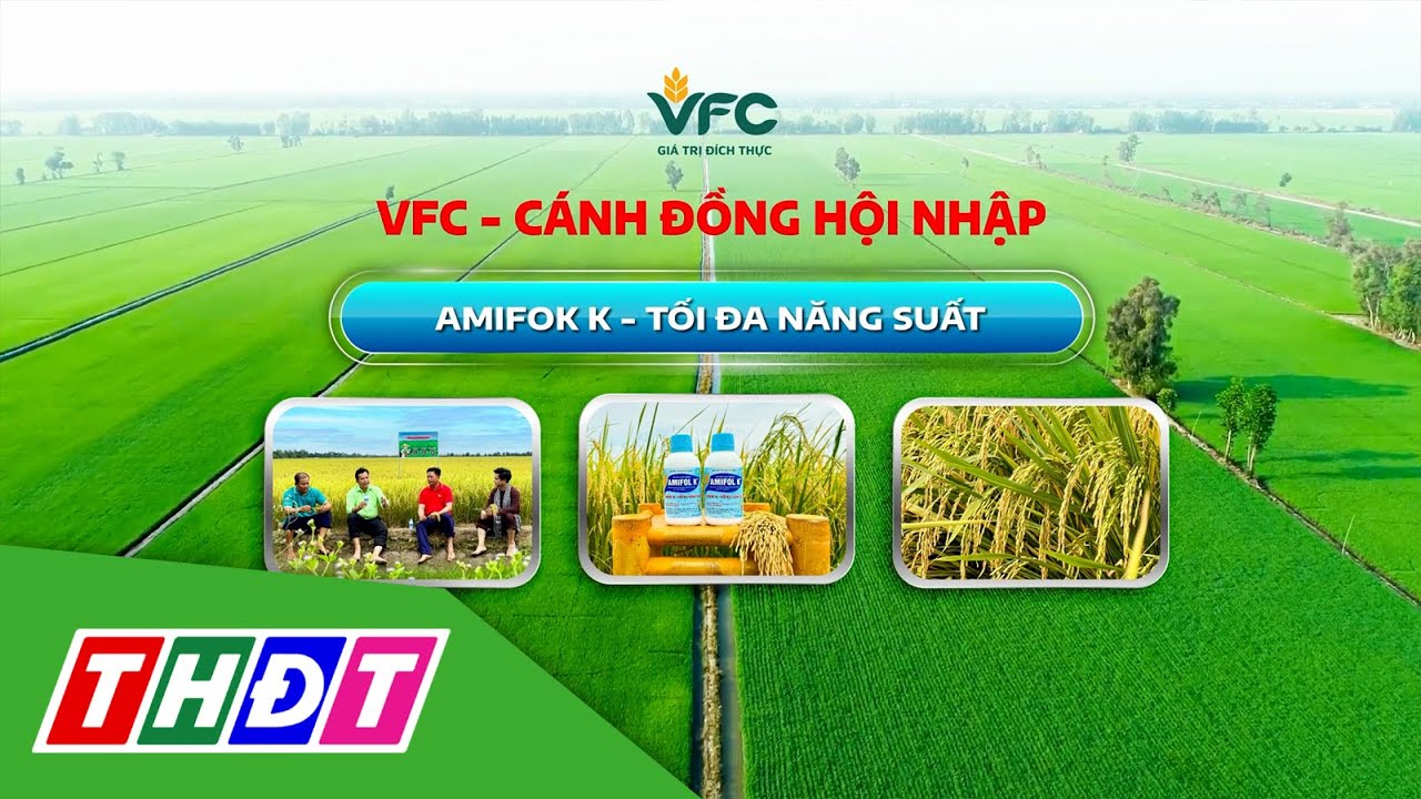 CDHN_2025_Số 7_Amifok K-Tối đa năng suất