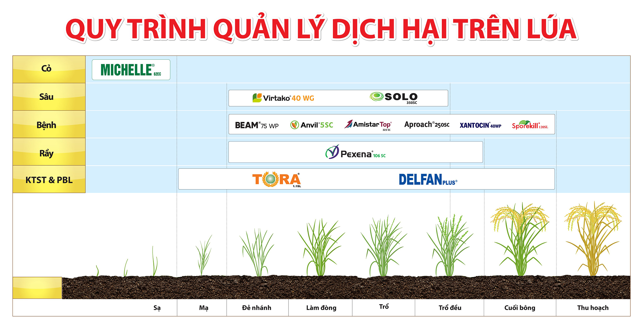 quy trinh