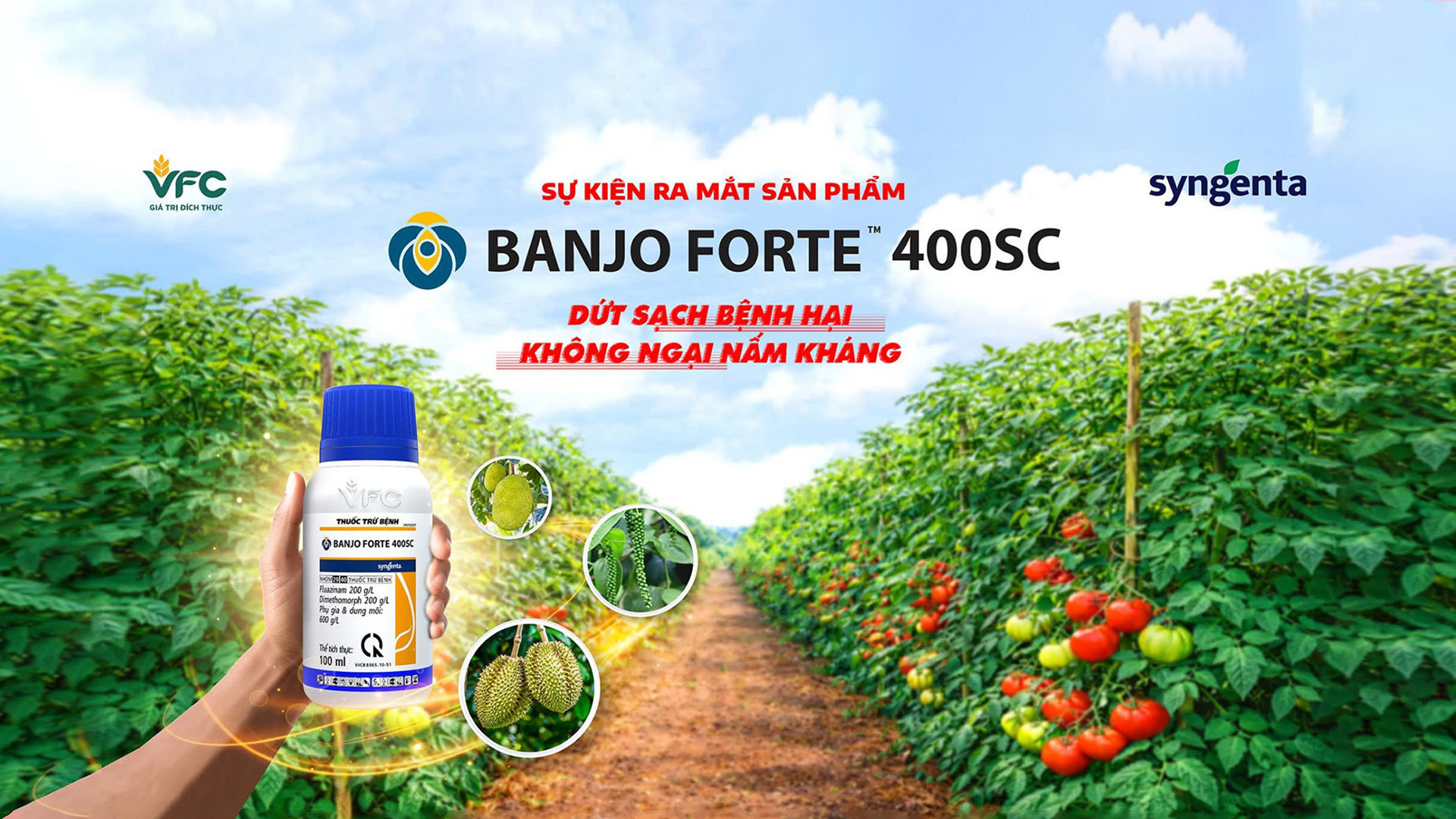 RA MẮT BANJO FORTE™ 400SC - GIẢI PHÁP ĐỘT PHÁ TRONG QUẢN LÝ NẤM BỆNH KHÁNG THUỐC