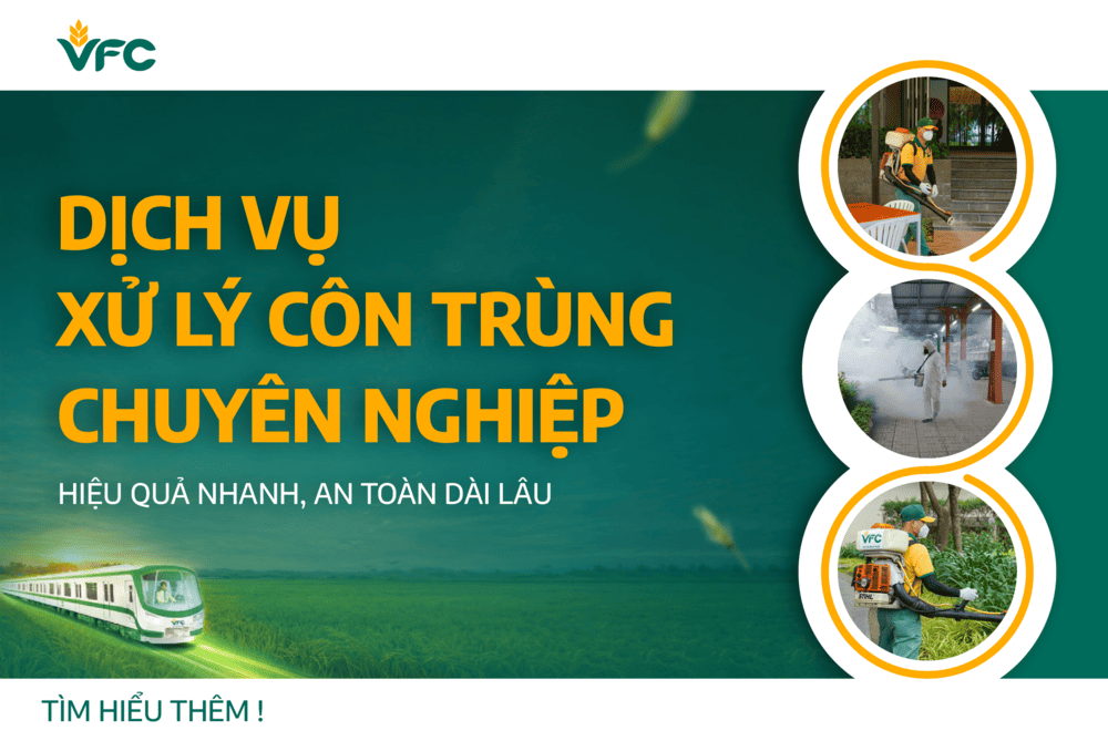 Dịch vụ xử lý côn trùng chuyên nghiệp: Hiệu quả nhanh, an toàn dài lâu