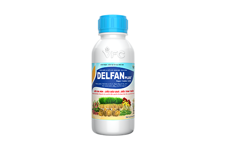 Delfan Plus